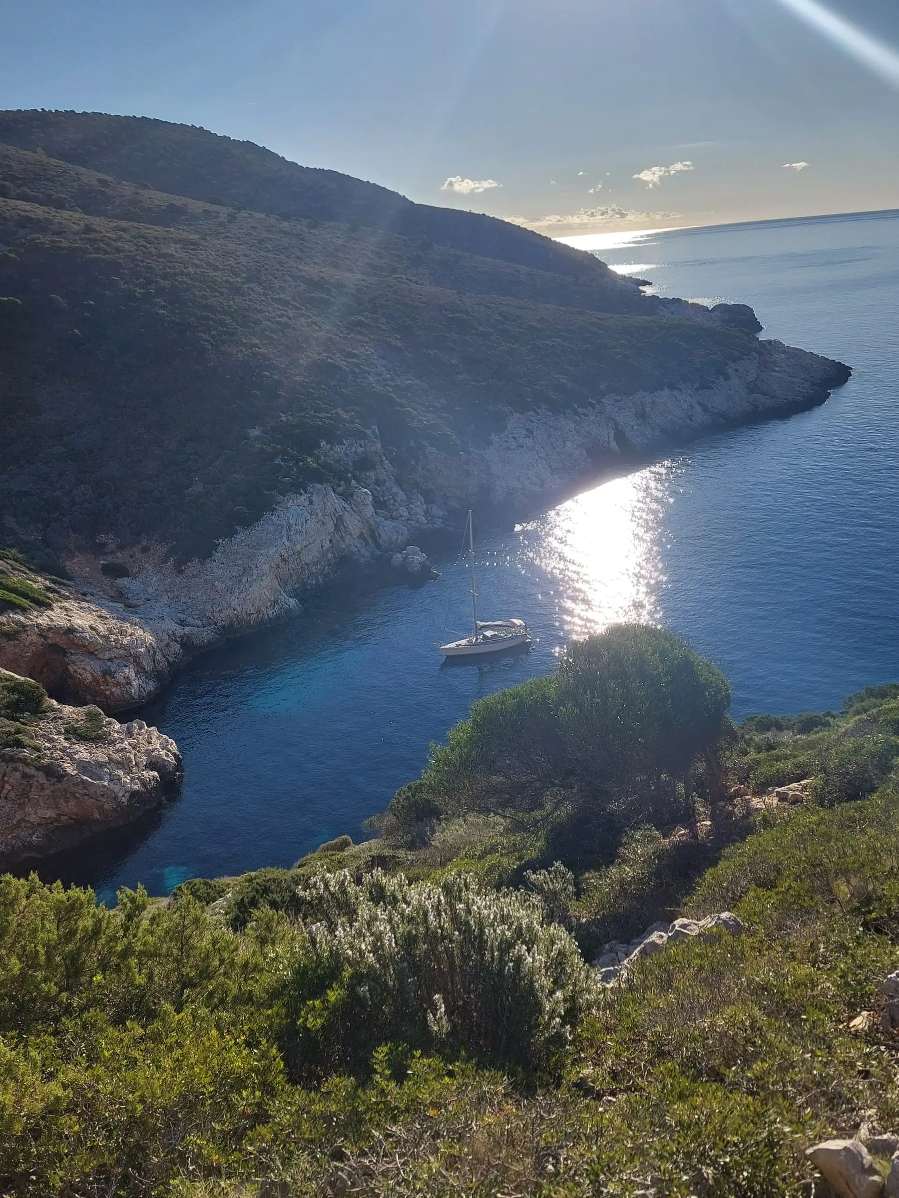 A bay on Sušac, 2024